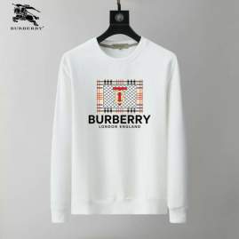 Picture of Burberry Sweatshirt _SKUBurberryM-3XL25tx15630801